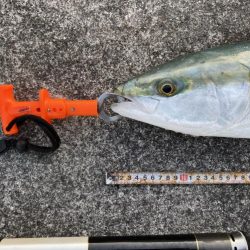 やっぱりポッパー最高！