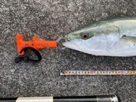 やっぱりポッパー最高！