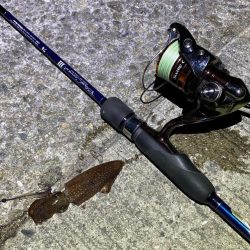 アジングロッドでヒイカ爆釣⁉︎