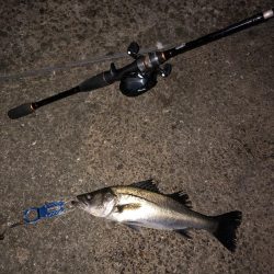 南港　夕方から、