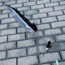 2年ぶりだよ〜(^^)