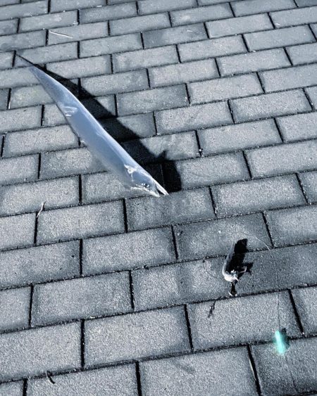 2年ぶりだよ〜(^^)