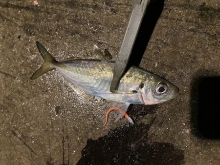 ジグ単アジング