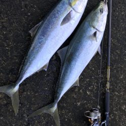 大荒れパターン