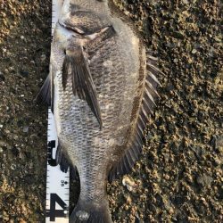 イチノ兄弟、釣果！