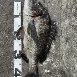 イチノ兄弟、釣果！