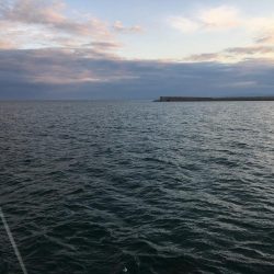 たかたかの釣り日記