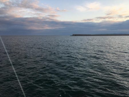 たかたかの釣り日記