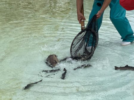 カメプーでエリアトラウト