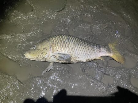 ボイル打ち釣行