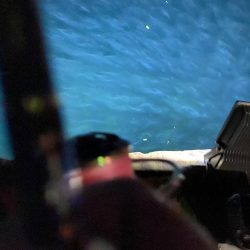 釣果よりも風裏を求めて