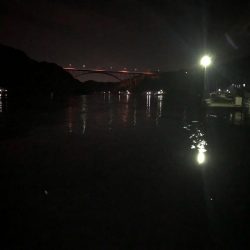 虫ヘッド最強説