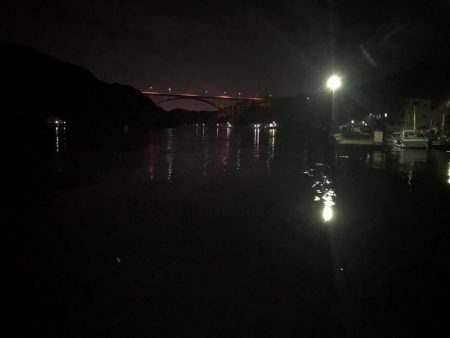 虫ヘッド最強説