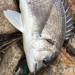 肌寒くなり秋を感じますね