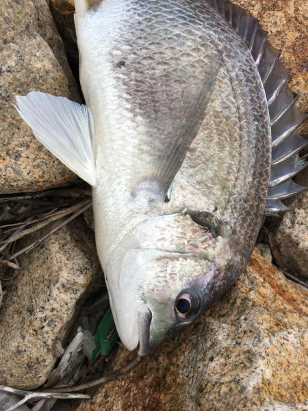 肌寒くなり秋を感じますね