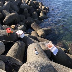 波止フカセ釣り