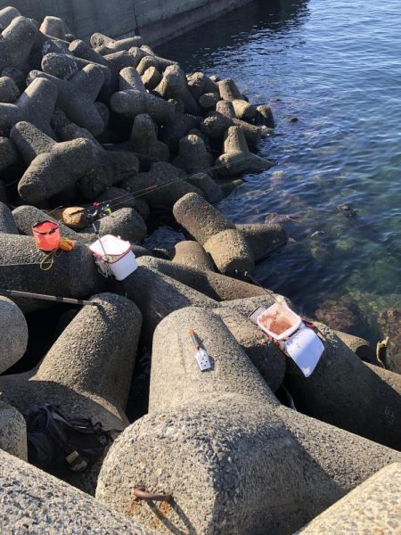 波止フカセ釣り