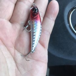 久しぶりにマチヌ！