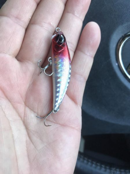 久しぶりにマチヌ！