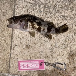 爆裂マイクロテンヤ