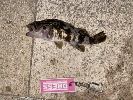 爆裂マイクロテンヤ