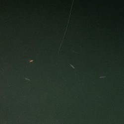 連日のヒイカ釣り