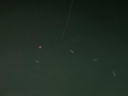 連日のヒイカ釣り