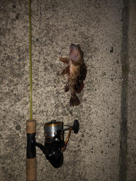 検証　虫ヘッド最強説