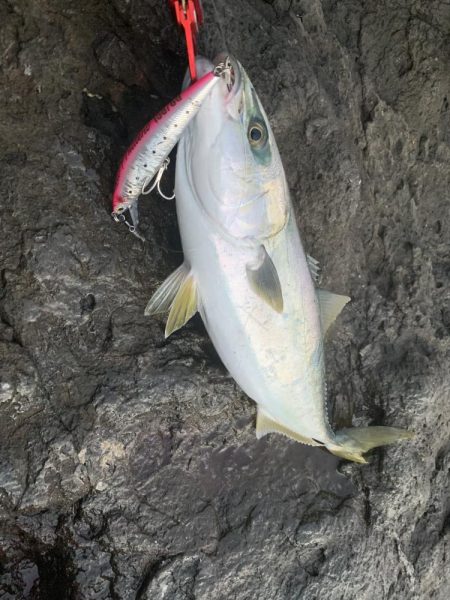 ショア　ブリ&ワラサ　トライデント150/60g