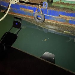 今回は渋かったです。