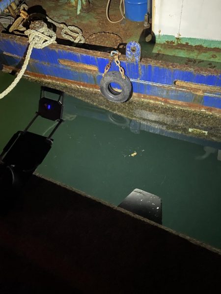 今回は渋かったです。