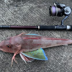 寒波の来る前に