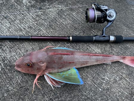 寒波の来る前に