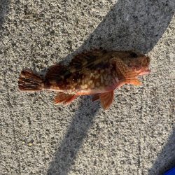 西側はフグ地獄