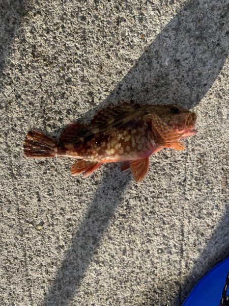 西側はフグ地獄