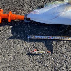 やっぱりここが最強堤防かなぁ〜