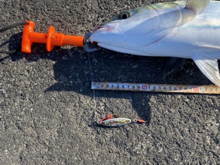 やっぱりここが最強堤防かなぁ〜