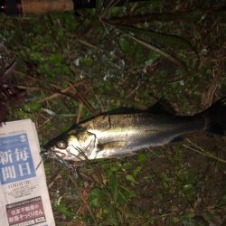 ががっときました。