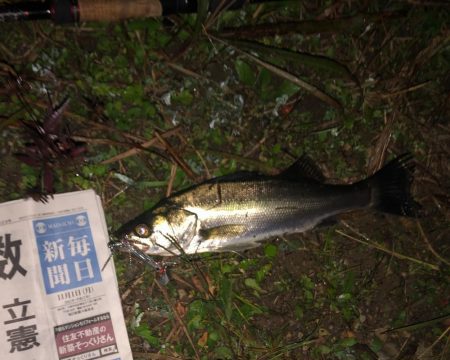 ががっときました。