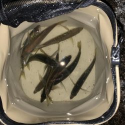 昼過ぎにズドン