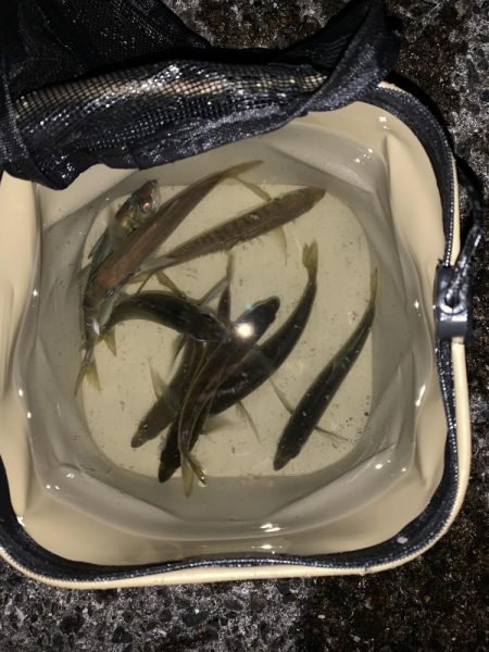 昼過ぎにズドン