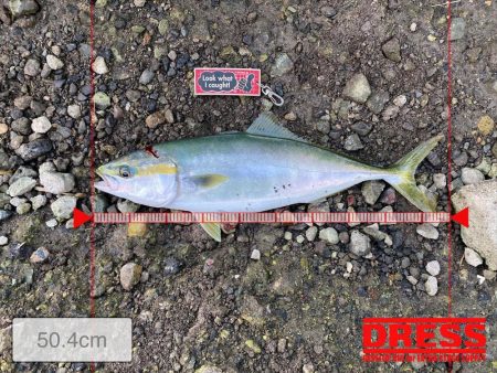 湾奥まで来たよ