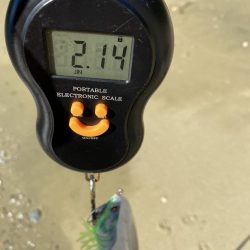 ティップランで自己最高記録