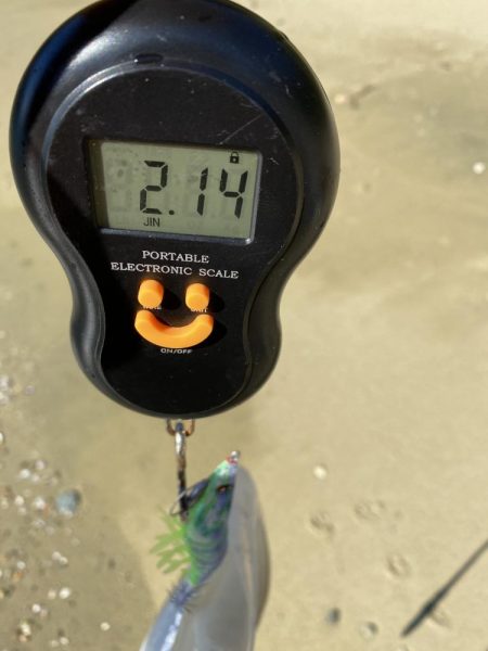 ティップランで自己最高記録