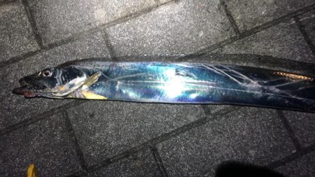 南港で刀狩り！