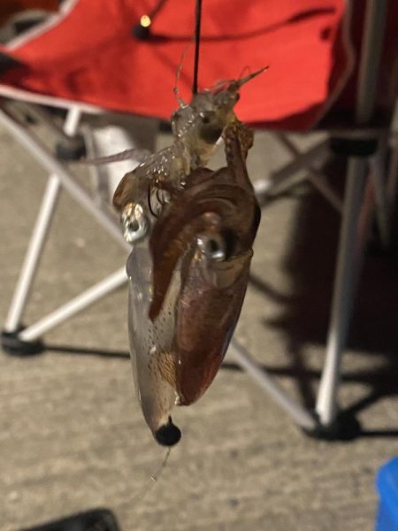 我慢の釣りでした