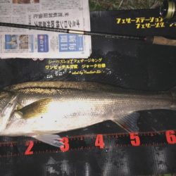 ががっときました。