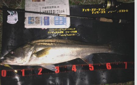 ががっときました。