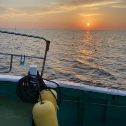 ティップラン今季初キロアップ