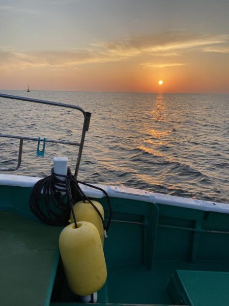 ティップラン今季初キロアップ